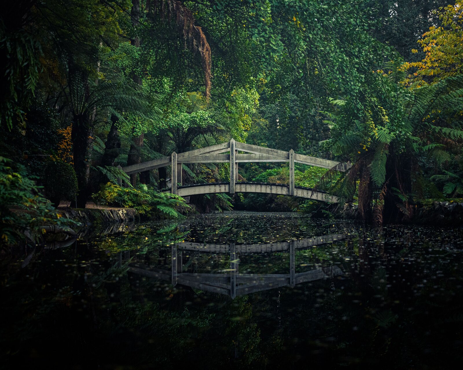 Royal Botanic Gardens